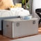 Baxton Studio Serge Silver Metal Storage Trunk 160-10246 - alternate 3